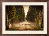 Cypress Lined Road II, Siena Tuscany Prints by Jimmy Williams