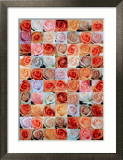 Roses Posters by Eric Ritter