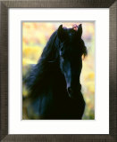 Ukjent Innrammet Giclee-trykk av Mark Barrett