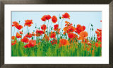 Champs de coquelicots Poster par Jan Lens