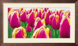 Tulipes Posters par Jan Lens