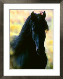 Ukjent Innrammet Giclee-trykk av Mark Barrett