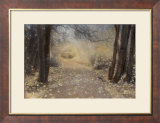 Silent Path Print by Barbara Kalhor