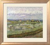 Orchard Láminas por Vincent van Gogh