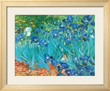 Irises, c.1889 Affiches par Vincent van Gogh
