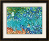 Irises, c.1889 Pósters por Vincent van Gogh