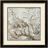 Almendro con flores, San Remy (Almond Branches in Bloom, San Remy, ca. 1890 (ocre)) Pósters por Vincent van Gogh Almendro con flores, San Remy (Almond Branches in Bloom, San Remy, ca. 1890 (ocre)) Pósters por Vincent van Gogh
