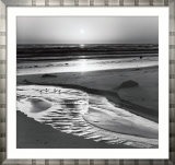 Birds on a Beach Láminas por Ansel Adams