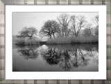 Prospect Park Morning Affischer av Henri Silberman