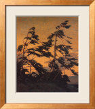 Pine Island, Georgian Bay Plakater af Tom Thomson