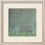 Roses under the Trees Posters par Gustav Klimt
