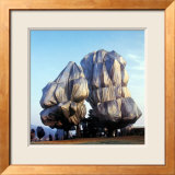 Wrapped Trees XVI Láminas por Christo