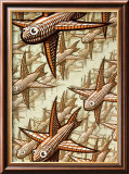 Depth, c.1955 Kunst von M. C. Escher