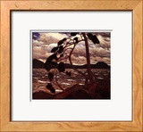 West Wind Prints by Tom Thomson