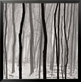 Rayos de luz Láminas por Doug Burgess