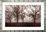 Etude d'arbre dans le brouillard IV Art par Jamie Cook