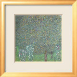 Roses under the Trees Art by Gustav Klimt