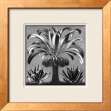 Palm, c.1933 Póster por M. C. Escher