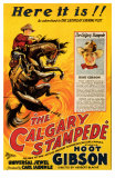 The Calgary Stampede Print