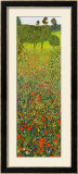 Campo Di Papaveri Posters by Gustav Klimt