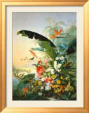 In the Tropics Kunst av Osias Beert