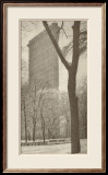 Edificio Flatiron Láminas por Alfred Stieglitz