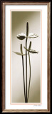 Anthuriums Affiche par Edoardo Sardano