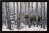 Ein Spaziergang im Wald Poster von Stephen Lyman