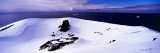 Snow Covered Hill at the Seaside, Penguin Island, South Orkney Islands, Antarctica Lámina fotográfica por Panoramic Images Snow Covered Hill at the Seaside, Penguin Island, South Orkney Islands, Antarctica Lámina fotográfica por Panoramic Images