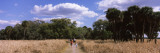 People Walking on a Trail, Myakka River State Park, Sarasota, Florida, USA Photographic Print by Panoramic Images 
