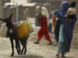 Afghan Woman Walks Along with Donkey Carrying Jerry Cans Filled with Water in Kabul, Afghanistan Lámina fotográfica Afghan Woman Walks Along with Donkey Carrying Jerry Cans Filled with Water in Kabul, Afghanistan Lámina fotográfica