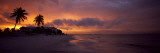 Silhouette of Palm Trees on the Beach, Fort Myers Beach, Estero Island, Lee County, Florida, USA Photographic Print by Panoramic Images 