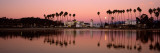 Reflection of Trees in Water, Santa Barbara, California, USA Photographic Print by Panoramic Images 