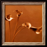 Arums Affiches par Jan Gordon