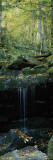 Waterfall in a Forest, Great Smoky Mountains National Park, North Carolina, USA Lámina fotográfica por Panoramic Images Waterfall in a Forest, Great Smoky Mountains National Park, North Carolina, USA Lámina fotográfica por Panoramic Images