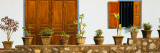 Potted Plants Outside a House, Luang Phabang, Laos Photographic Print by Panoramic Images 