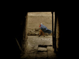 Burqa Clad Afghan Woman Carries Her Baby as She Walks on a Street of Old Kabul Photographie