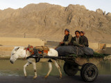 Afghan Kids Ride on a Horse Carriage in Kandahar City, Afghanistan Photographic Print