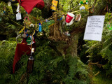 Personal Items on Prayer Tree, Comeragh Mountains, County Waterford, Ireland Photographic Print