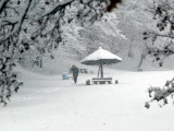 Man Walks Through a Snow-Covered Park in Pristina Lámina fotográfica