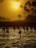 Sri Lankan Fishermen Sit Perched on Stilts Fixed into the Ocean Floor Photographic Print