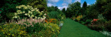 Flowers in a Garden, Hillier Gardens, New Forest, Hampshire, England Photographic Print by Panoramic Images Flowers in a Garden, Hillier Gardens, New Forest, Hampshire, England Photographic Print by Panoramic Images