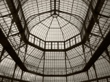 Palm House Following Restoration, the Botanic Gardens, Dublin, Ireland Photographic Print