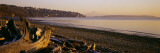 Driftwood on the Beach, Discovery Park, Mt Rainier, Seattle, King County, Washington State, USA Lámina fotográfica por Panoramic Images Driftwood on the Beach, Discovery Park, Mt Rainier, Seattle, King County, Washington State, USA Lámina fotográfica por Panoramic Images