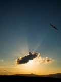 Kestral at Sunset, Comeragh Mountains, County Waterford, Ireland Photographic Print