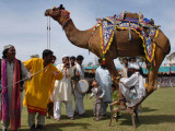 Pakistan Folk Dancers Perform; Owner Sits with His Camel, Annual Festival Horse and Cattle Show Photographie