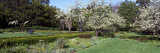 Blossom Trees in a Garden, Ellwanger Garden, Rochester, New York State, USA Lámina fotográfica por Panoramic Images Blossom Trees in a Garden, Ellwanger Garden, Rochester, New York State, USA Lámina fotográfica por Panoramic Images