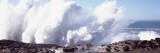 Waves Breaking on the Coast, Shore Acres State Park, Oregon, USA Photographie par Panoramic Images 