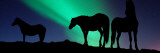 Silhouette of Horses at Dusk, Iceland Fotografiskt tryck av Panoramic Images Silhouette of Horses at Dusk, Iceland Fotografiskt tryck av Panoramic Images