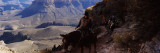 Mule Riders and Hikers on the Trail, South Kaibab Trail, Grand Canyon National Park, Arizona, USA Photographic Print by Panoramic Images 